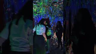 My #synesthesia interactive installation: canvas that play a sound!