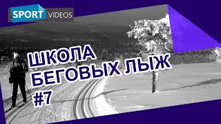 Школа беговых лыж. Урок №7: одновременный безшажный ход Школа беговых лыж. Урок №7: одновременный безшажный ход