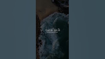 قران كريم #قرآن #اللهم_صل_وسلم_على_نبينا_محمد #قران_كريم #تلاوة_خاشعة