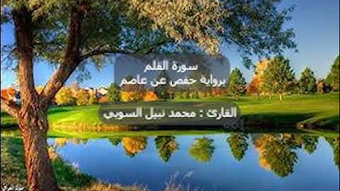 سورة القلم القارئ محمد نبيل السوبي من صلاة الفجر برواية حفص عن عاصم