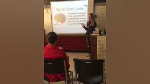 Informative Speech - Lobes of the Brain