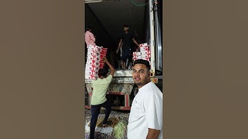 FROM FARM TO SHIP: Massive Pomegranate Cargo Loading for International Export (Step-by-Step)