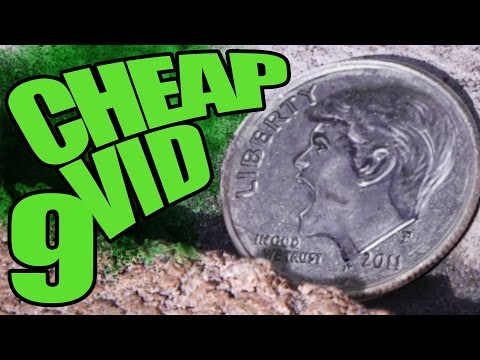 HOW TO TAKE SHOTS | Cheap Vid #9