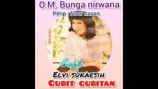 CUBIT-CUBITAN by Elvy Sukaesih. Full Single Album Dangdut Lawas Original.