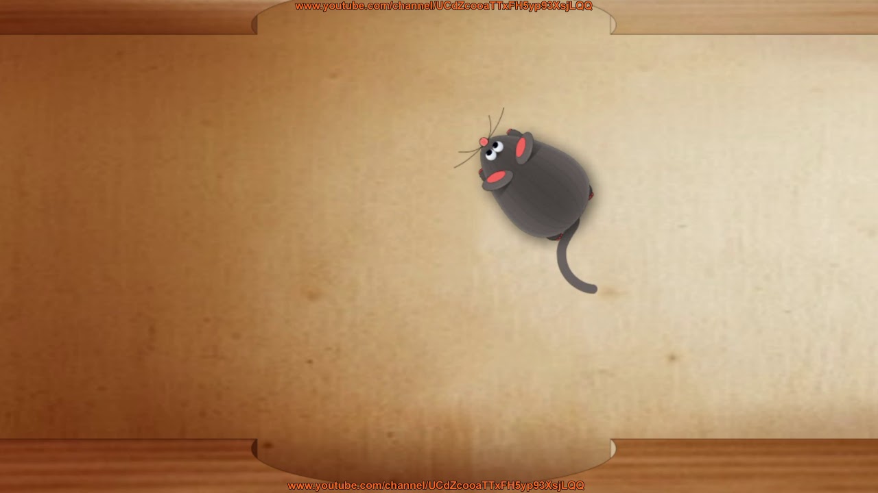 mouse for cats ( channel for cats ) 4k 2020 YouTube