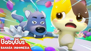 Dua Bayi Kucing Tersesat, Apa Yang Harus Mereka Lakukan? | Animasi anak | BabyBus Bahasa Indonesia