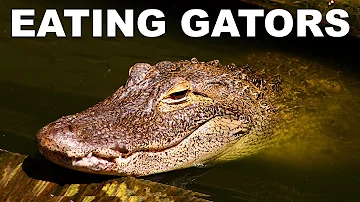 Can you get sick from eating raw alligator?