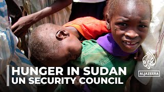 Hunger in Sudan: UN security council briefed on humanitarian crisis