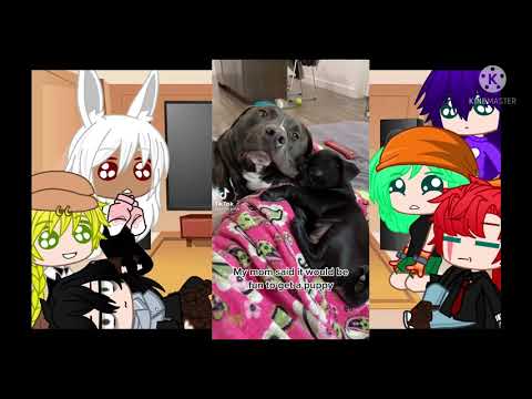Pro's react to Deku's pets| mha/bnha| part 2