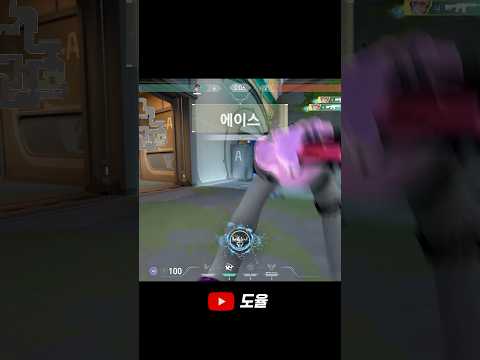 침착한 에이스