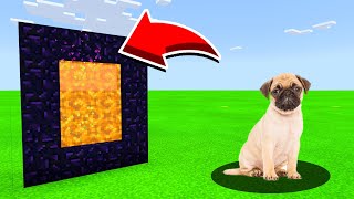 How To Make A Portal To The Pug in Minecaft Pocket Edition/MCPE