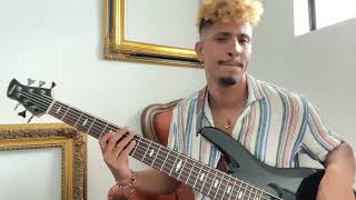 Pedro Brasil-Djavan Bass Cover