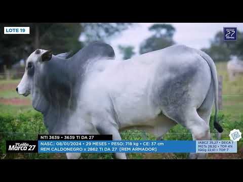 LOTE 19 - NTI 3639