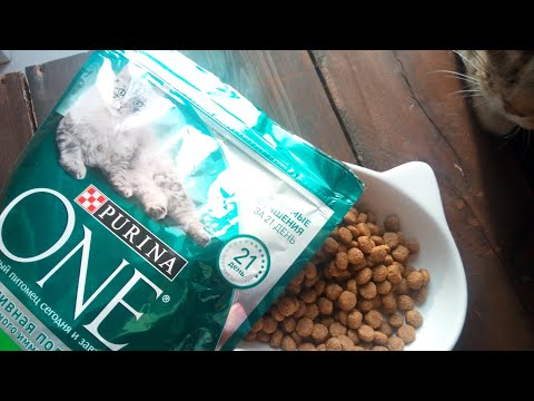 Обзор на корм для кошек/PURINA ONE