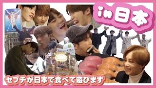 【セブチ】セブチin日本 [日本語字幕 SEVENTEEN 세븐틴]