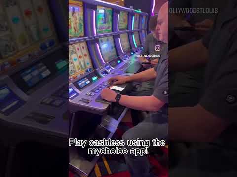 Découvrez l'Application de Casino Offrant des Tours Gratuits pour Jouer au Casino en Ligne en France