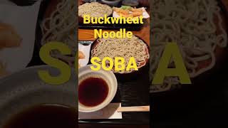 Super Famous Soba Noodle Restaurant in Tokyo Yabu Soba Namiki 藪蕎麦並木