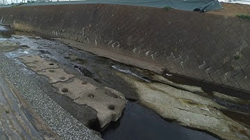 Xiaomi Yi script test -4　Stock FOV : Standard 35M