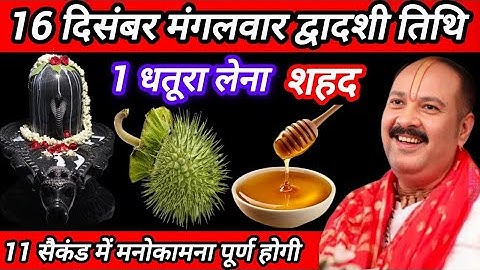 16 दिसंबर मंगलवार द्वादशी तिथि के दिन धतूरा और शहद वाला उपाय जरुर करें ,#panditpradeepmishra #upay 