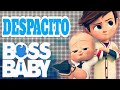 Despacito luis fonsi the boss baby imk whatsapp status