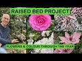 Raised bed project  flowers  colour through the year