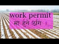 Work permit/Visa Scams ll work permit मा हुने ठगि ।। fake work permit ll Babeen Photography