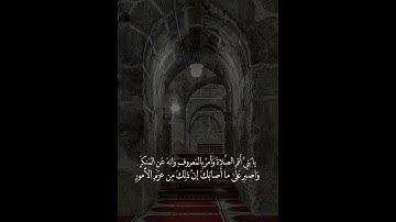 الحمد لله ♥️ #اسلام_صبحي #قرآن #تلاوات #رعد_الكردي #ماهر_المعيقلي #هزاع_البلوشي #اسلاميات #قران_كريم