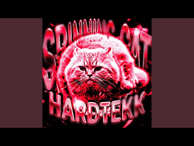 SPINNING CAT HARDTEKK (EXTREME SLOWED)