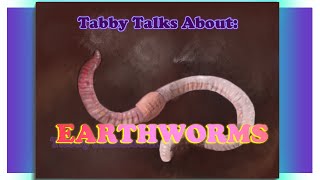 Tabby Talks Earthworms Speedpaint