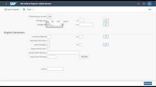 SAP Fiori (WM Process 3) - Step 9 Run Bin Status Report
