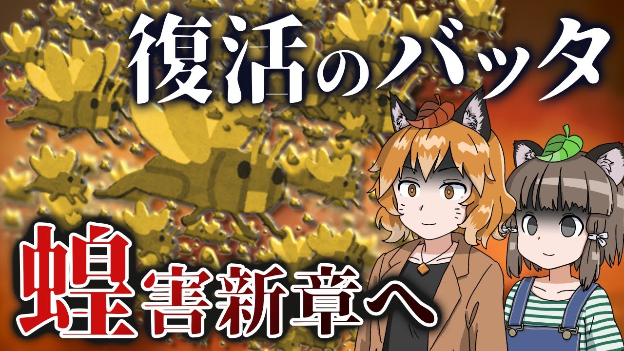 Locust plague: A new chapter in the locust outbreak? A threat