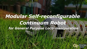 Modular Self-reconfigurable Continuum Robot