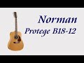 Обзор электроакустической 12 струнной гитары Norman Protege B18-12