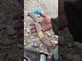 شبرية الرعد شبرية الرعد