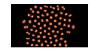 "Cellular division"-like behaviour in the Gray-Scott model