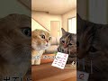 【猫ミーム】テストが悪かったら家を追い出される子供②#猫ミーム #ネコマニ #shorts