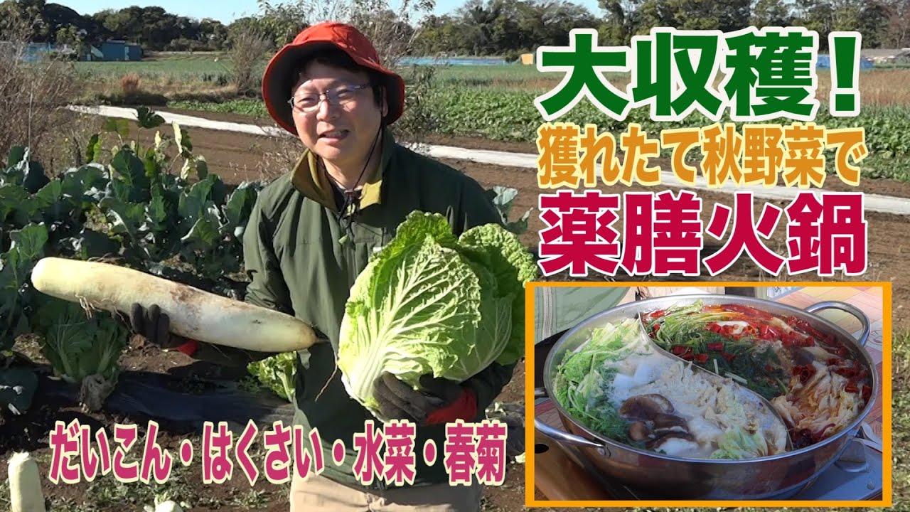 Autumn Vegetables EditionHarvesting Edition (Medicinal Hot Pot