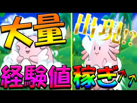 Usum ラッキーのおぼえる技 入手方法など攻略情報まとめ ポケモンウルトラサンムーン 攻略大百科