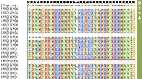 Flaviviridae virus in ticks