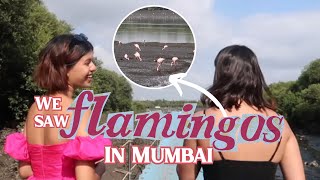 Friends Day out: Flamingos in MUMBAI! | Sejal Kumar | Vlogs