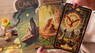 видео: РАК: «Ух ты! Это происходит из ниоткуда — пришлось трижды проверить» 🤯🔄💞 ТАРО ЛЮБОВЬ, НОЯБРЬ 2025 картинка: РАК: «Ух ты! Это происходит из ниоткуда — пришлось трижды проверить» 🤯🔄💞 ТАРО ЛЮБОВЬ, НОЯБРЬ 2025