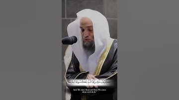 وَانُظر إلَى العِظَامِ كَيفَ نُنشِزُهَا ثُمَّ نَكسُوهَا لَحمًا - القارئ فيصل غزاوي