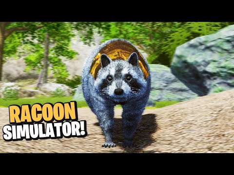 Wanted Raccoon