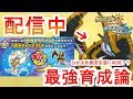 【配信】色アーゴヨンの最強の使い方を教えます!【ポケモンUSUM】