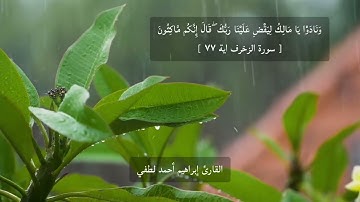 بنبرة خاصة للقارئ إبراهيم أحمد لطفي يرتل أواخر سورة الزخرف .
