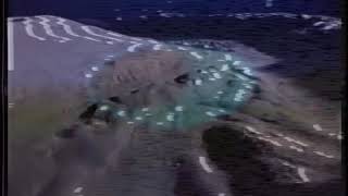 secretflowers 'terminal mind' video/audio by secretflowers. video mastered by broken machine films.