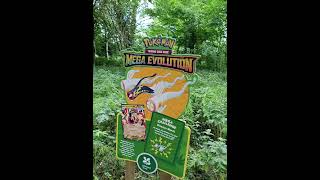 Kingston Lacy - Pokémon Trail - Nat Trust Dorset