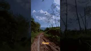 Download Lagu fatin shidqia lubis - aku memilih setia #shorts MP3