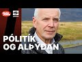 Raua bori  plitk og alan