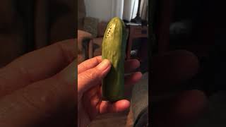 Yodeling Pickle